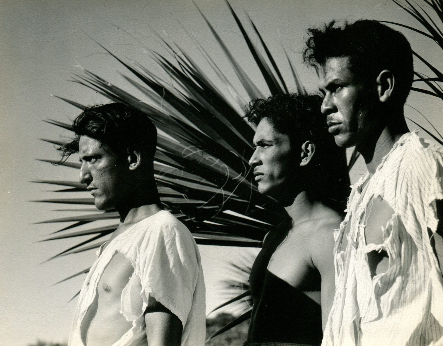 Featured image for “A new book from Aperture Foundation publishes 22 Ned Scott images from Redes Film”